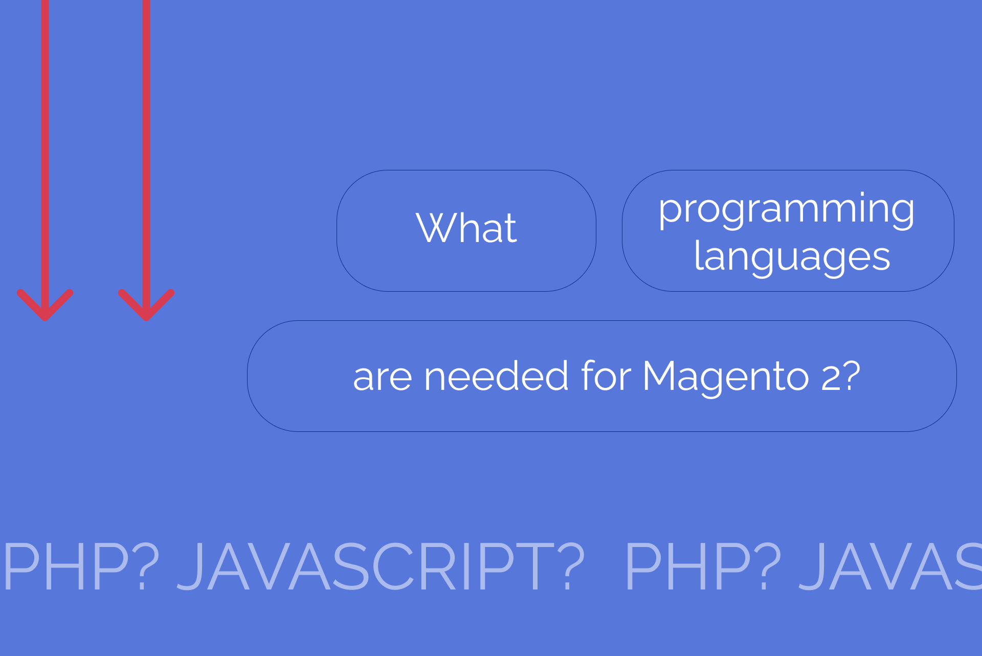 What programming languages do you need for Magento 2?